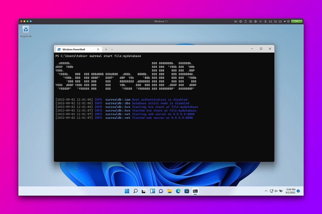 Just released SurrealDB for Windows!